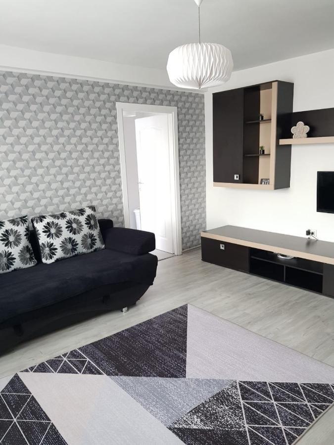 Ana Apartament Râmnicu Vâlcea Екстериор снимка