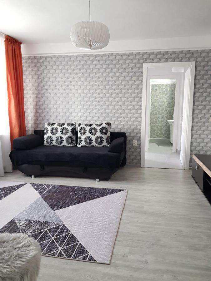 Ana Apartament Râmnicu Vâlcea Екстериор снимка