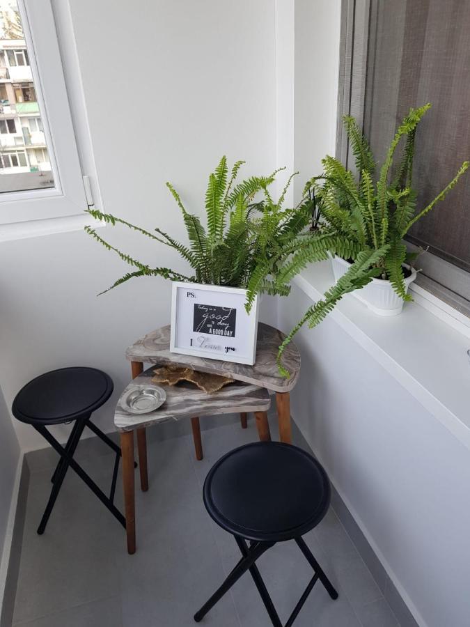 Ana Apartament Râmnicu Vâlcea Екстериор снимка