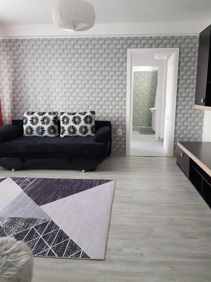 Ana Apartament Râmnicu Vâlcea Екстериор снимка