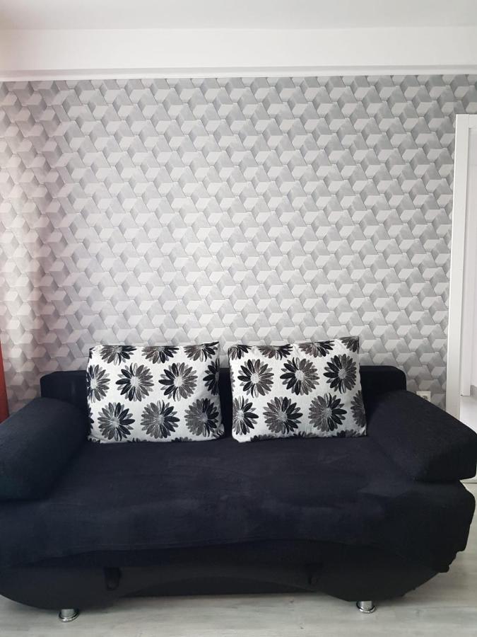 Ana Apartament Râmnicu Vâlcea Екстериор снимка