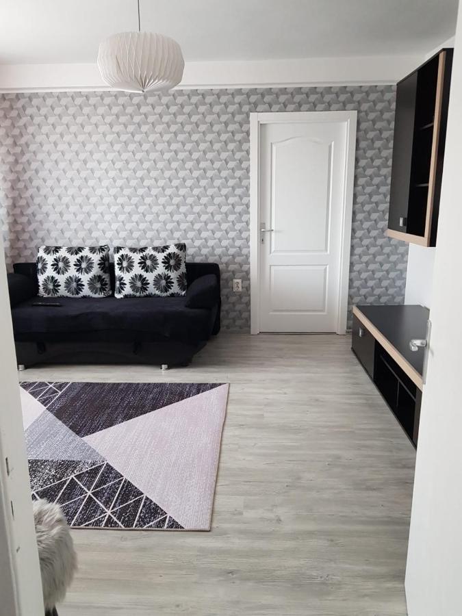 Ana Apartament Râmnicu Vâlcea Екстериор снимка