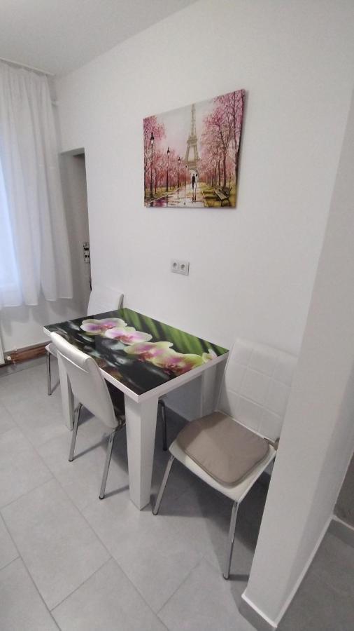 Ana Apartament Râmnicu Vâlcea Екстериор снимка