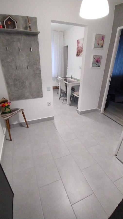 Ana Apartament Râmnicu Vâlcea Екстериор снимка