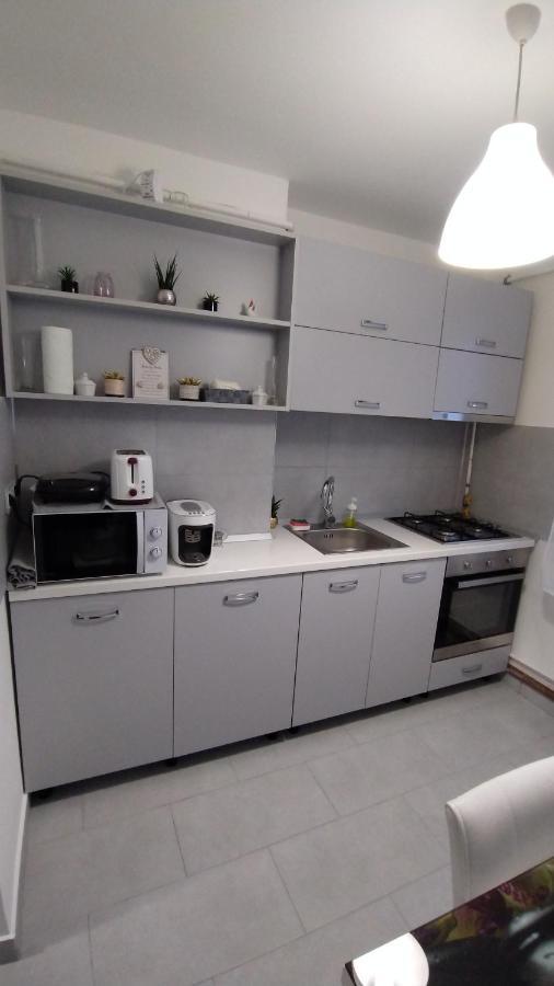 Ana Apartament Râmnicu Vâlcea Екстериор снимка