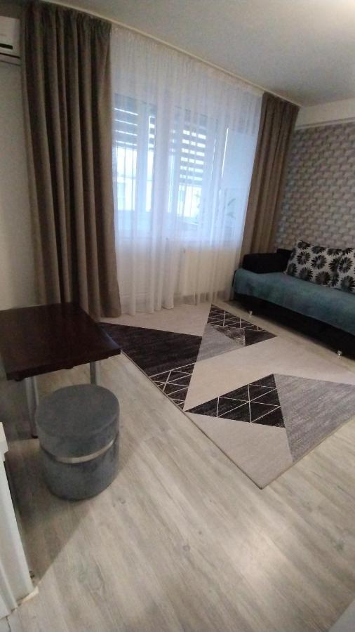 Ana Apartament Râmnicu Vâlcea Екстериор снимка